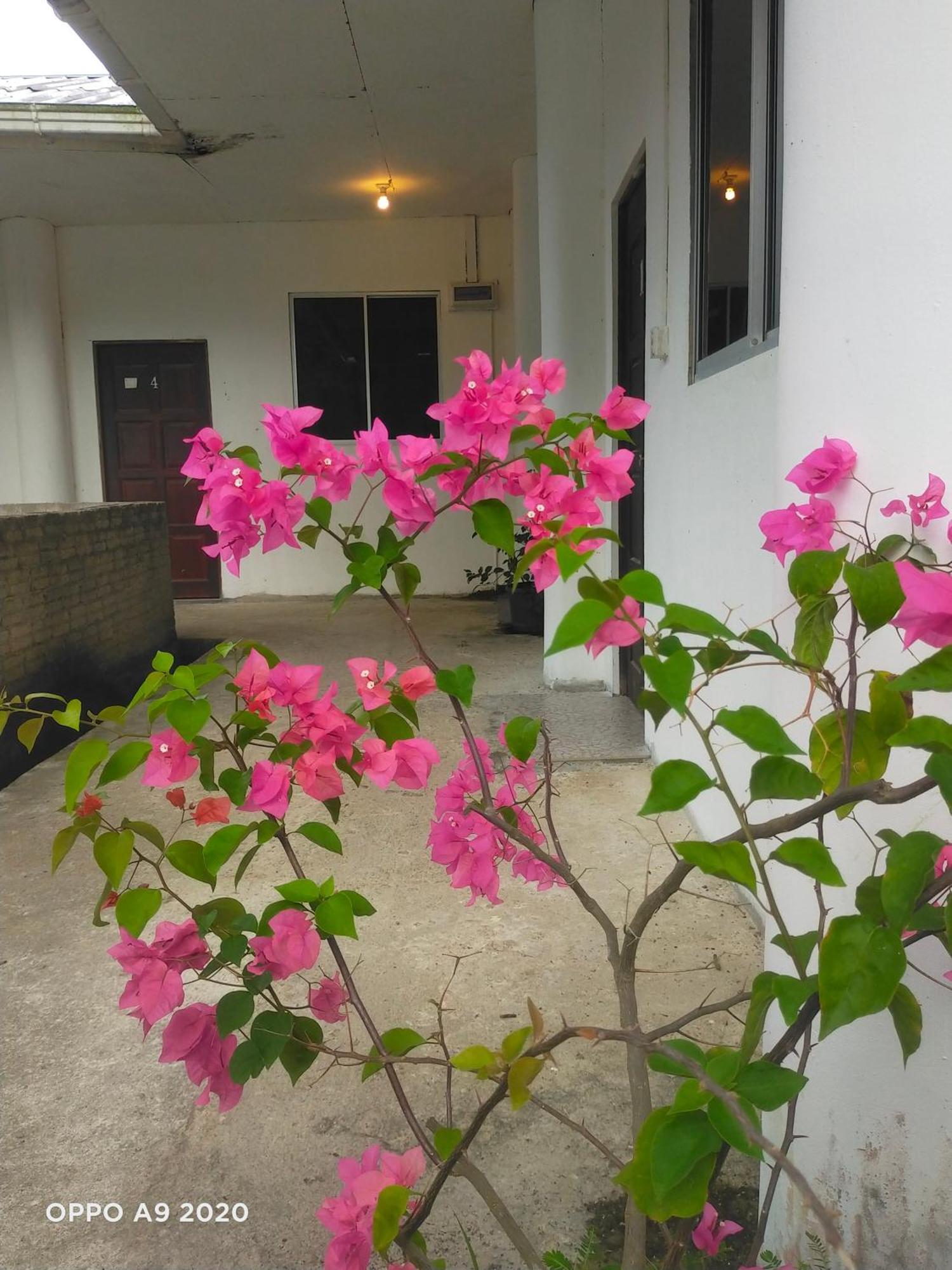 Sukau Tomanggong View Bed & Breakfast Exterior foto